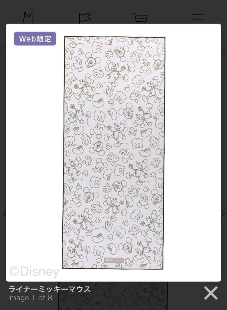 【新品】【美品】ヨギラグ2点セット