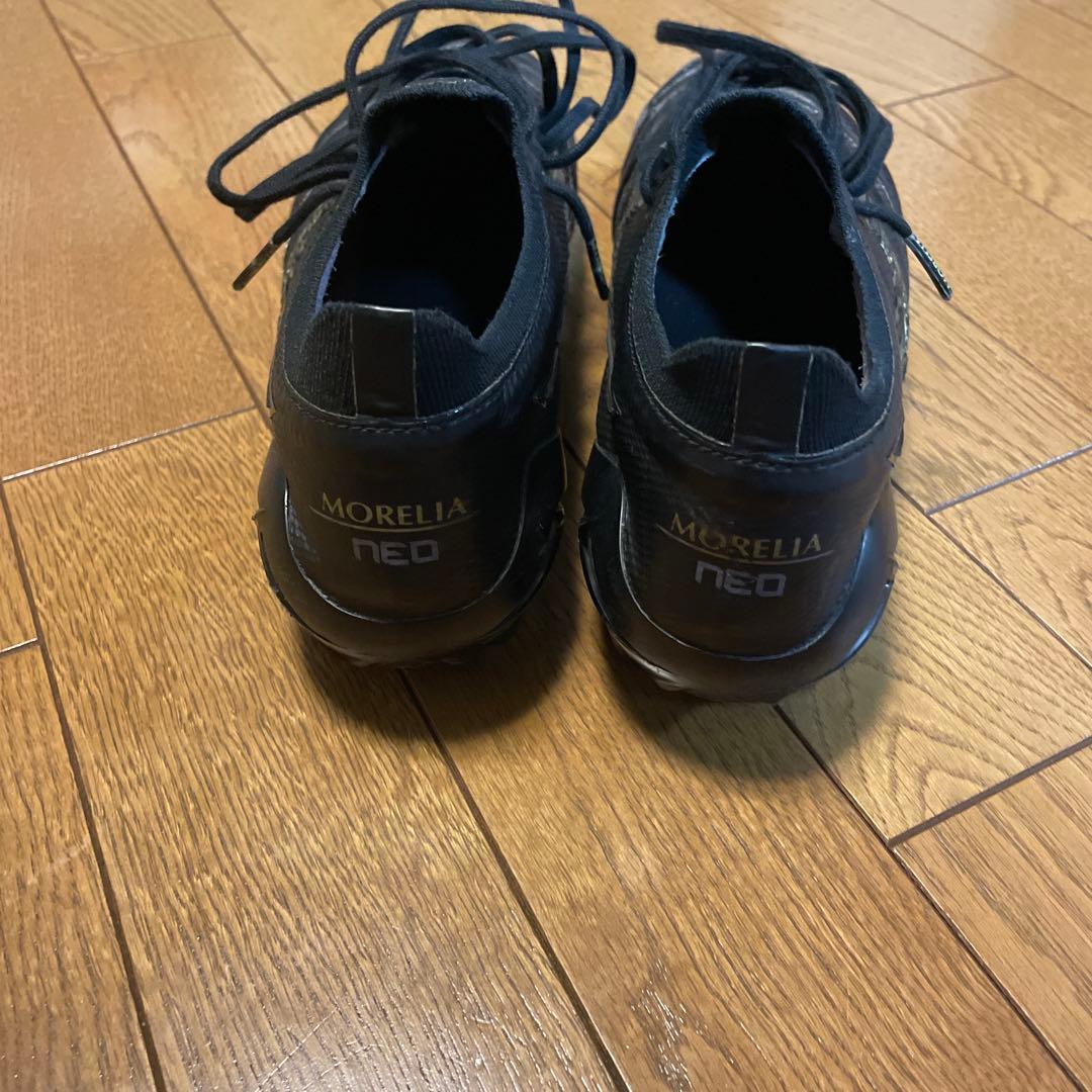 MORELIA NEO4β