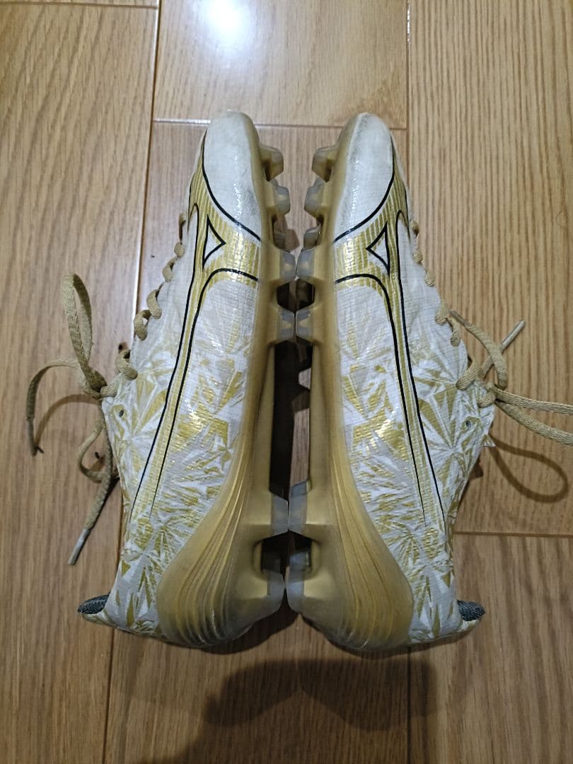 ミズノアルファ PRO 24.5cm