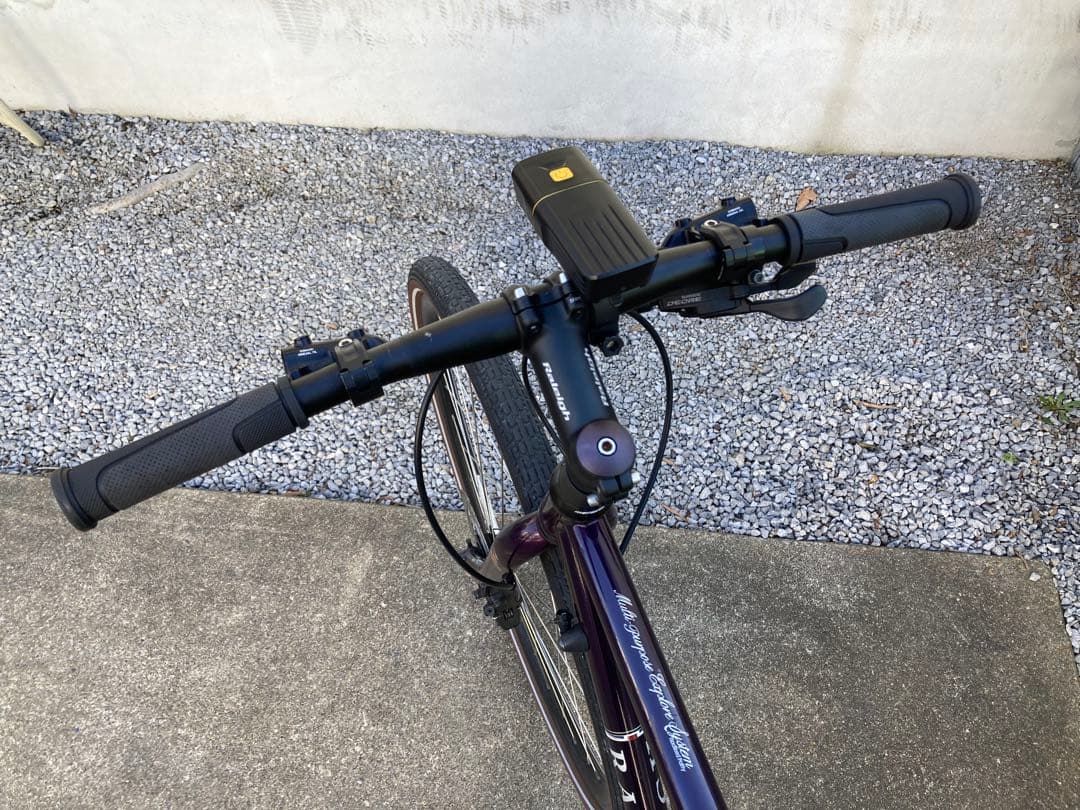 ラレー RALEIGH RFF-N 油圧ディスク 1×10段 2021年9月購入