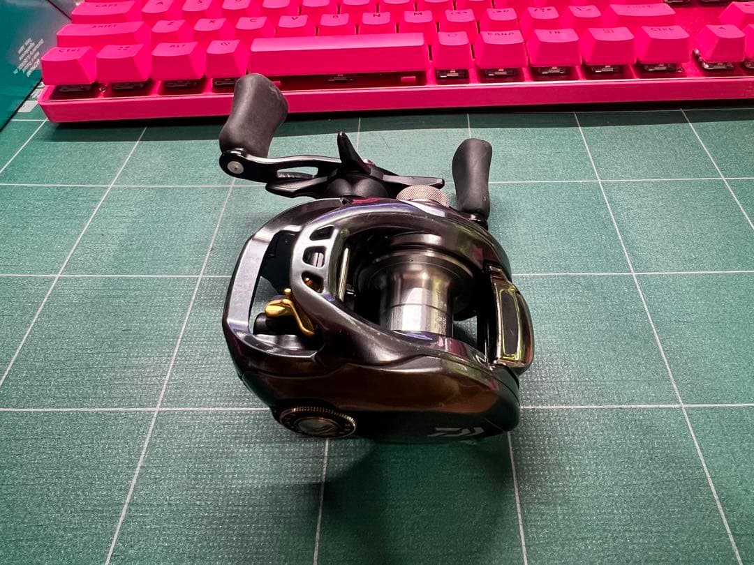 ダイワ(DAIWA) タトゥーラ SV TW (右ハンドル)