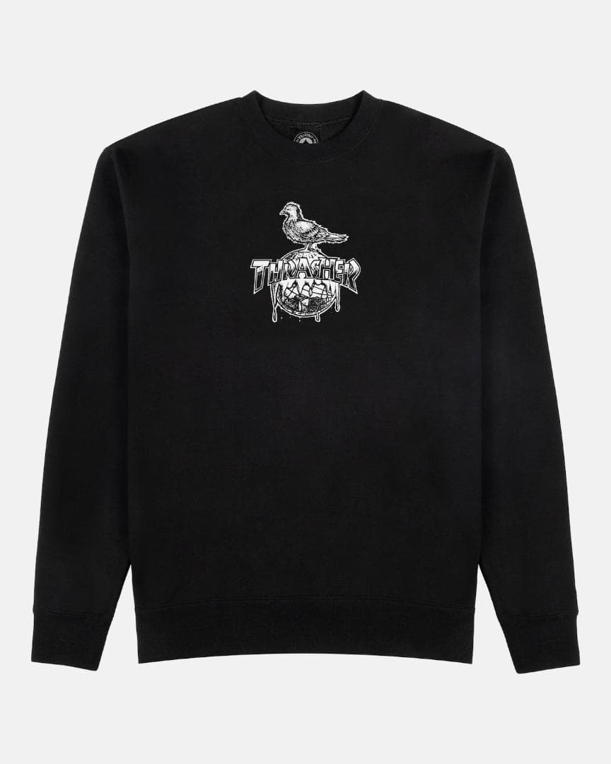 【激レア】ANTIHEROxTHRASHER L/S CREW L【新品送料込】