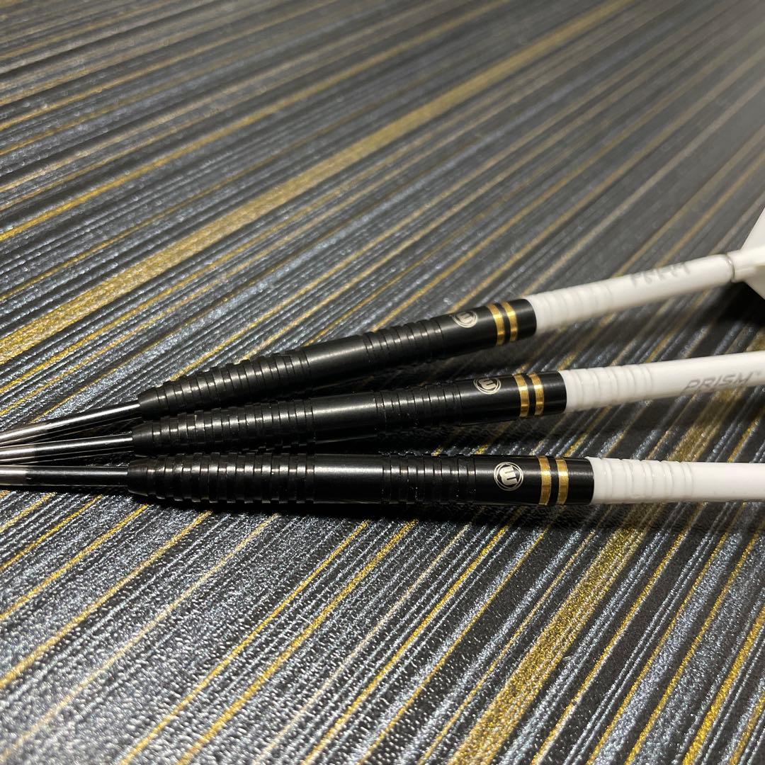 定価11800円 スティールダーツ ハードダーツ ダリルガーニー 23g