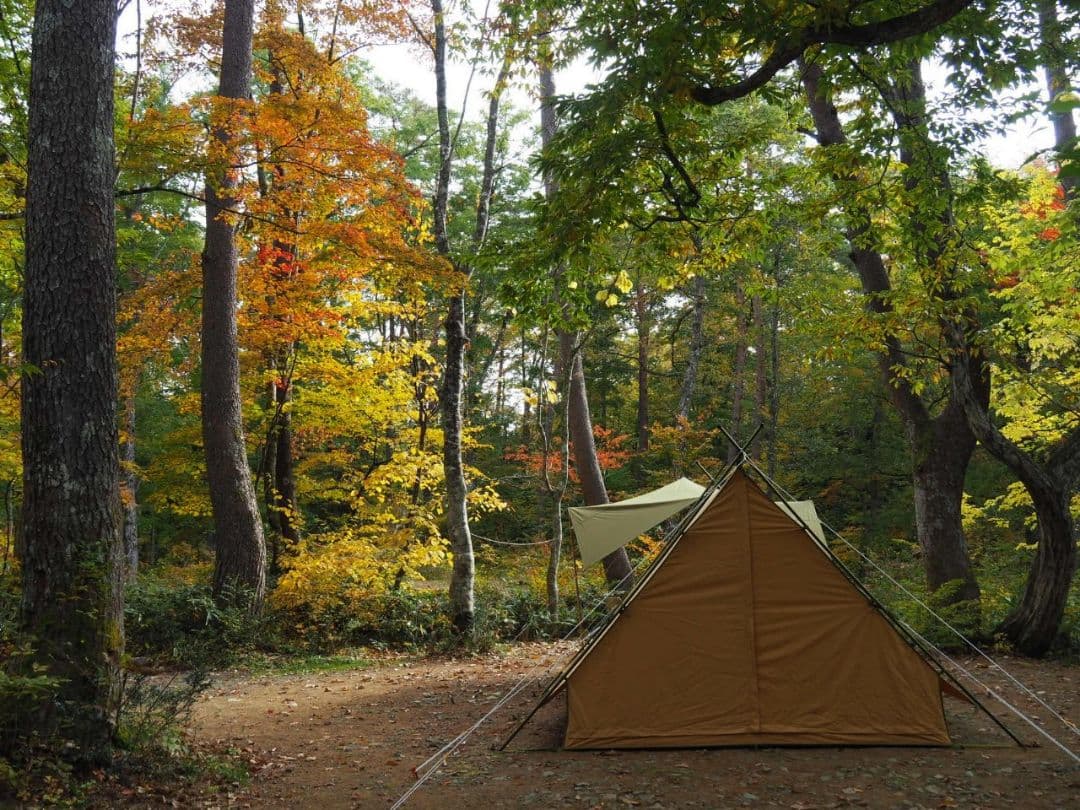 【美品】tent-mark DESIGNS PEPO テンマクデザイン　ペポ