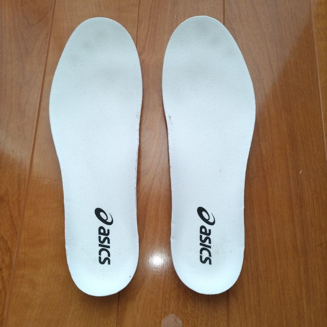 asics ランニングシューズ EvoRide Speed3　27.0cm