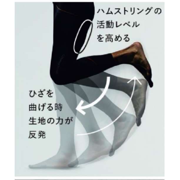 新品シックスパッド トレーニングスーツ ハイウエストタイツ男女兼用S