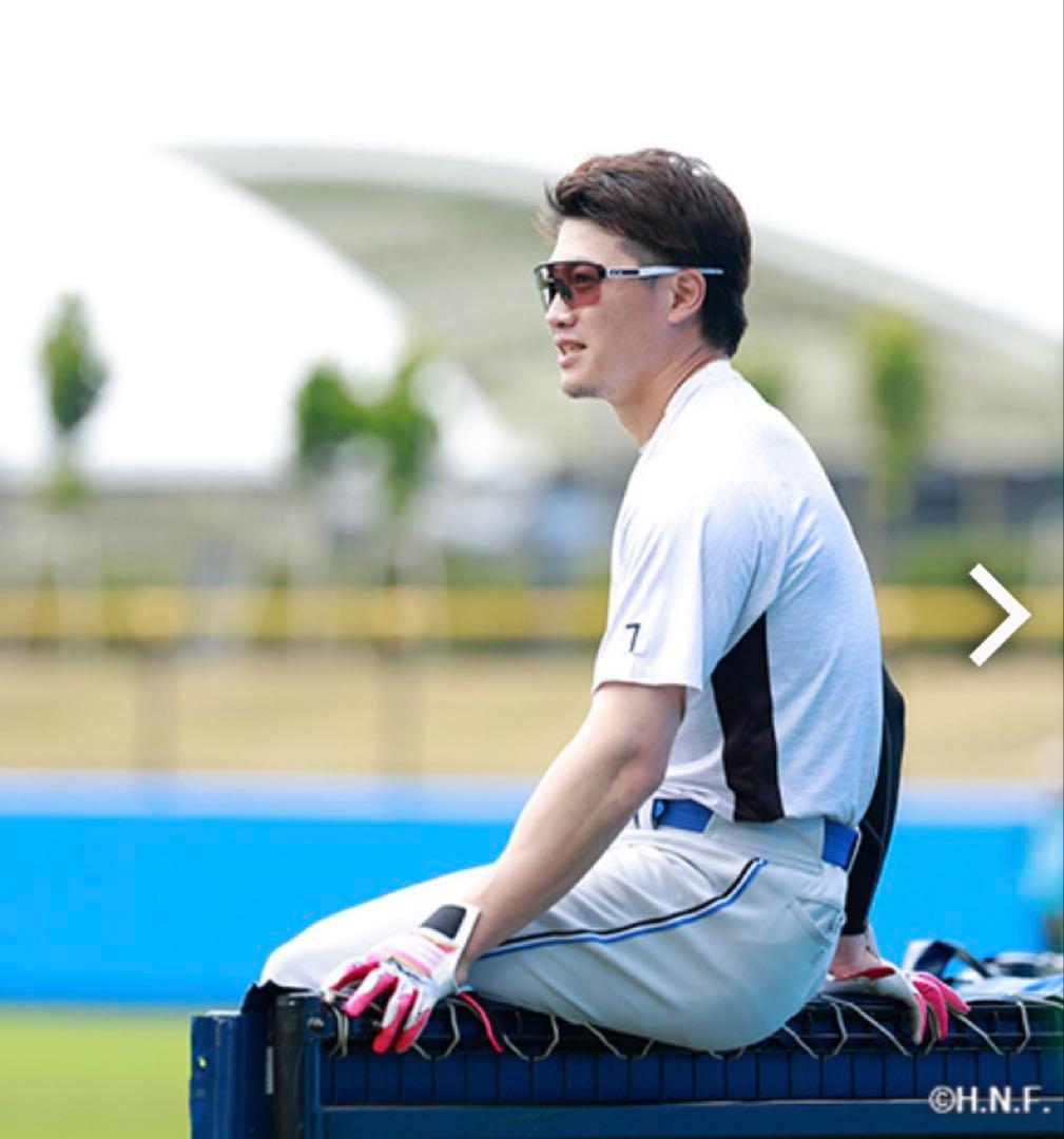 日本ハムファイターズ西川遥輝選手使用バッティング手袋
