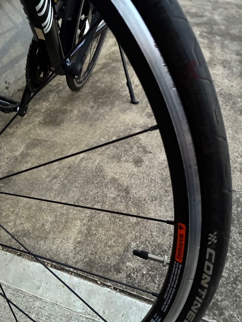 Canyon endurance al フレームセット