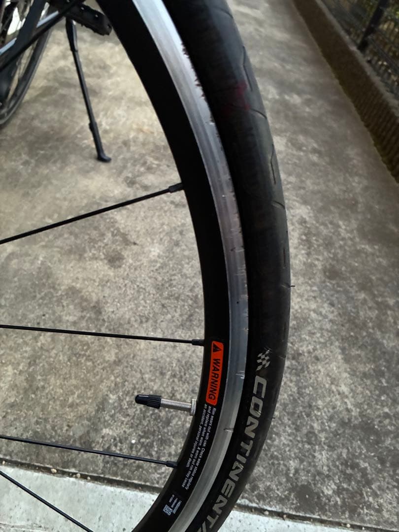 Canyon endurance al フレームセット