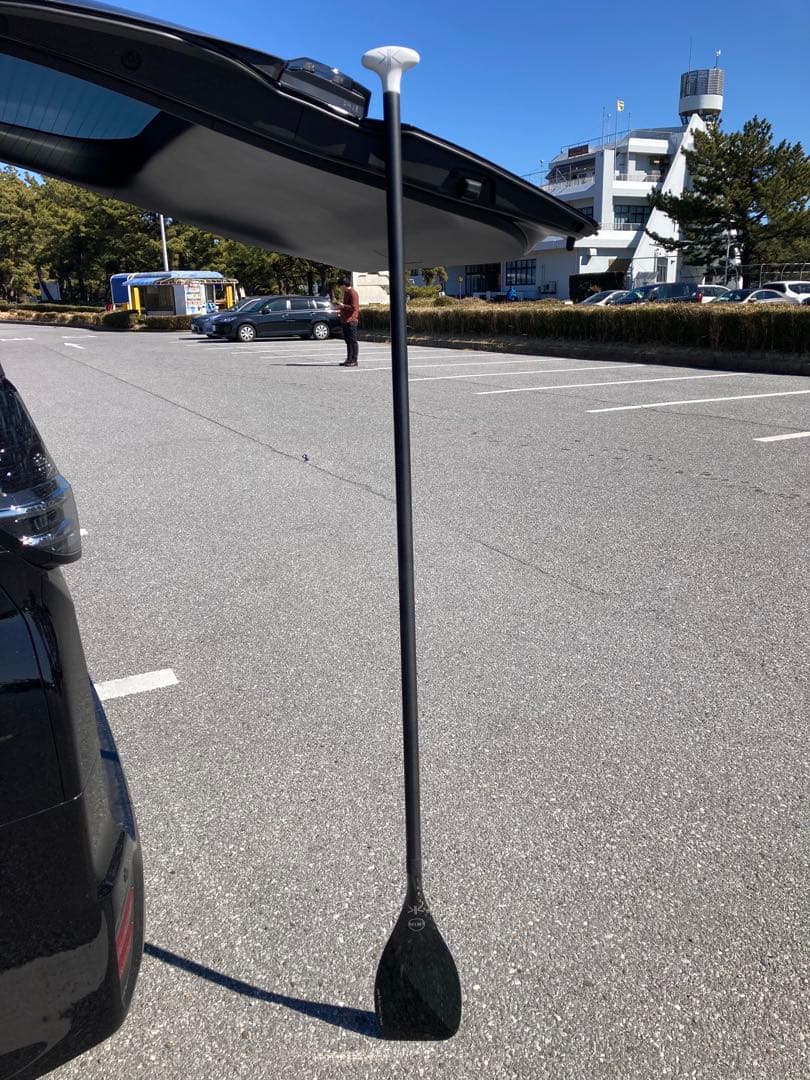 だいです