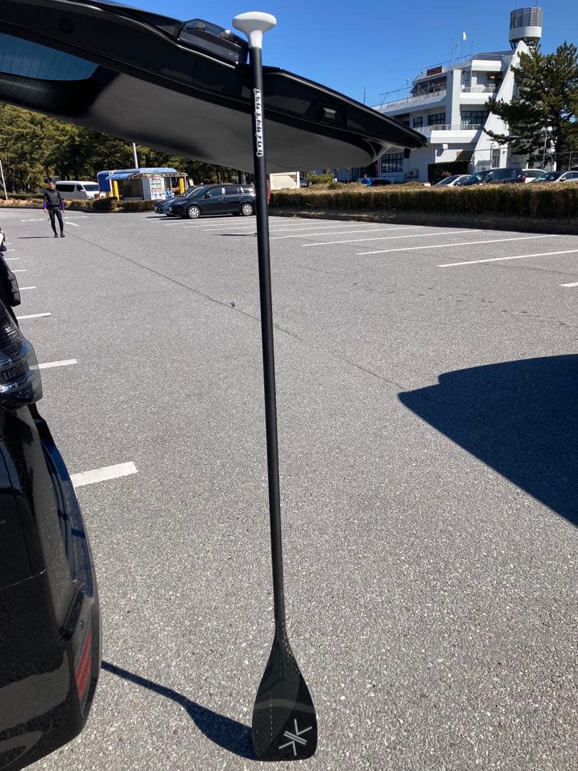 だいです