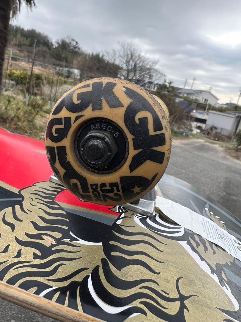 小沢　DGK スケートボード コンプリート 8.25インチ