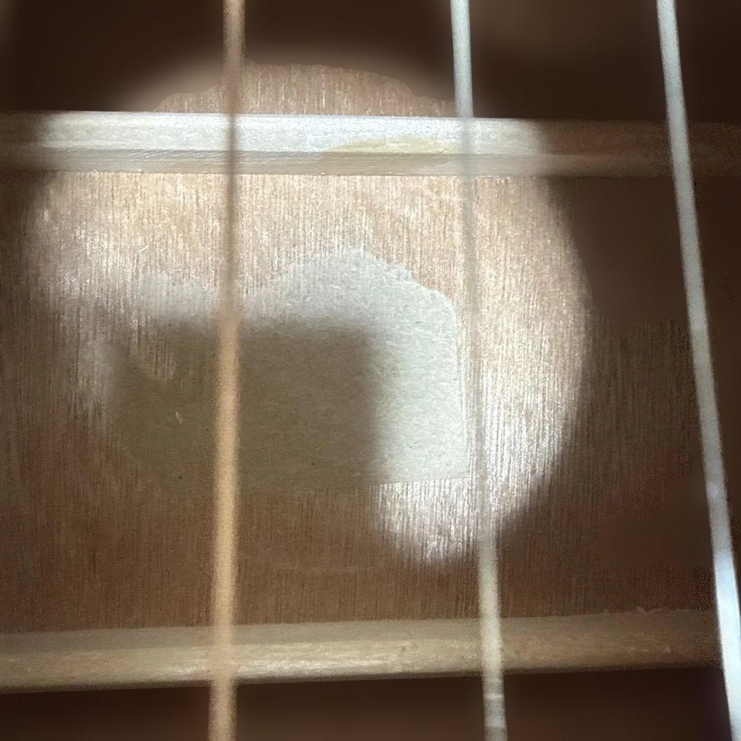 donner アコースティックギター