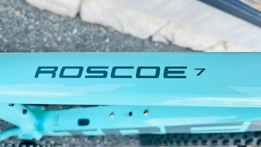 TREKのハードテイルMTBの人気モデル Roscoe7 2021モデルです。