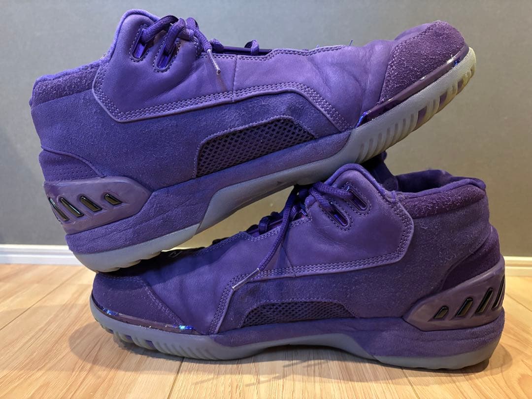シューズ(男性用) Air Zoom generation lebron 29cm