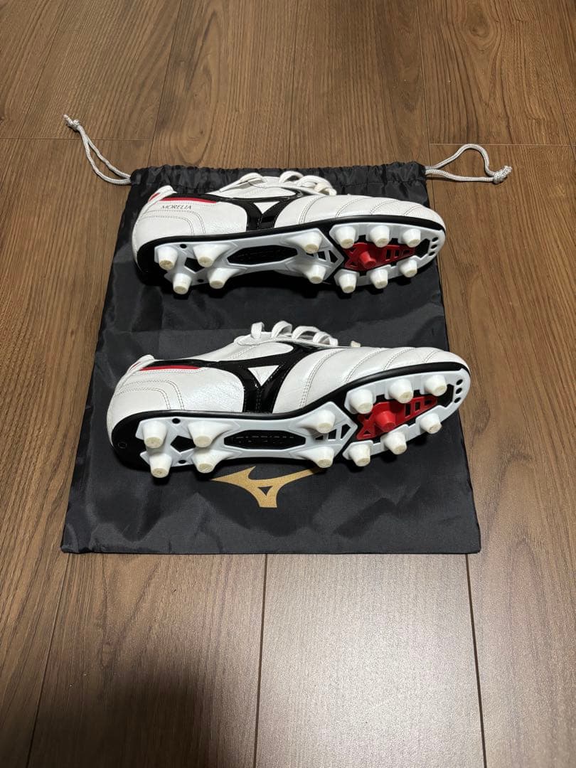 早い者勝ち　モレリア2 27.5cm 手入れキット