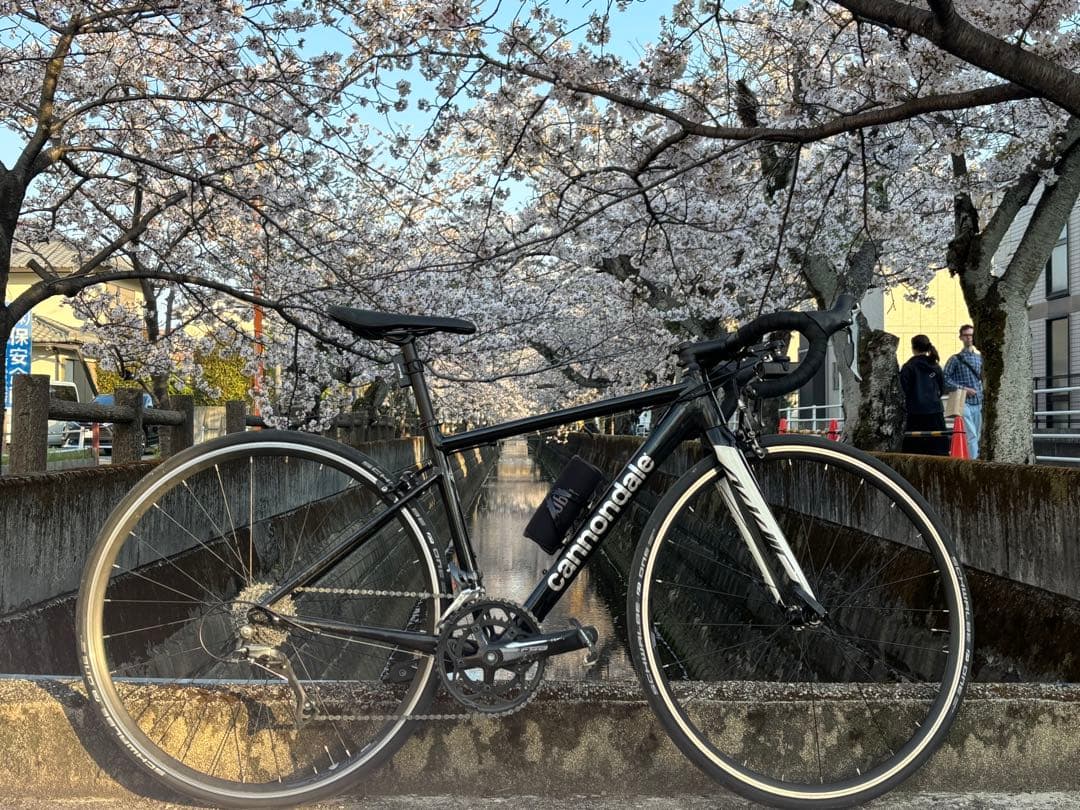 cannondale caad optimo4 2023年式