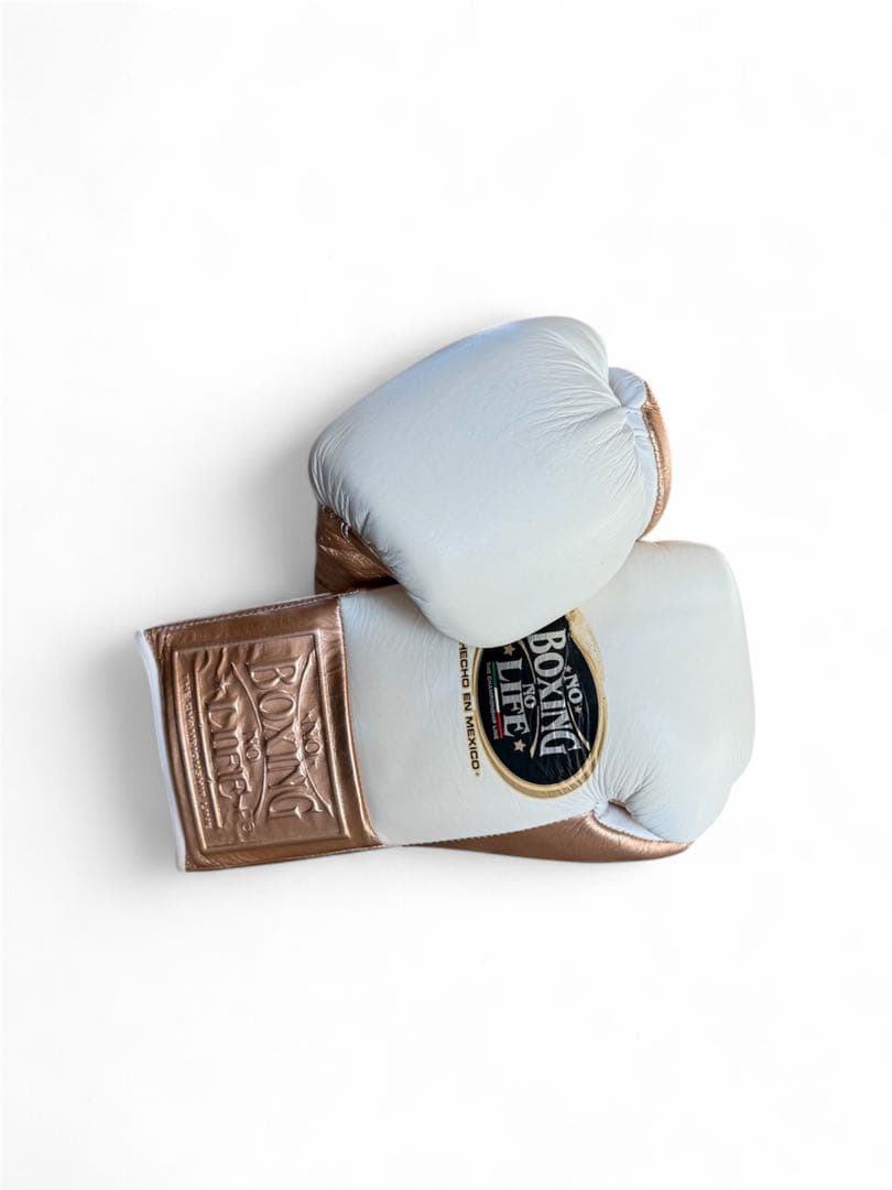 NO BOXING NO LIFE ボクシンググローブ10oz
