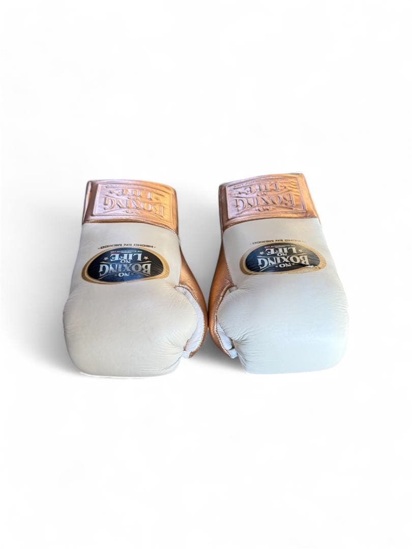 NO BOXING NO LIFE ボクシンググローブ10oz