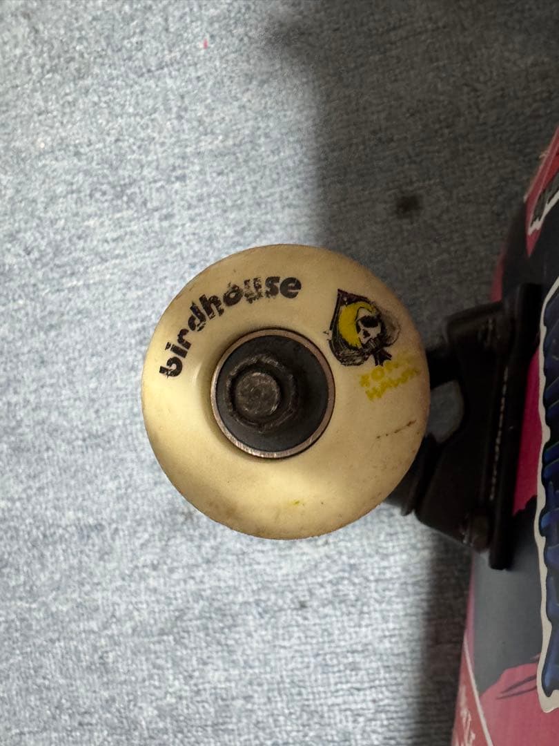 ストライプデザイン スケートボード birdhouseウィール
