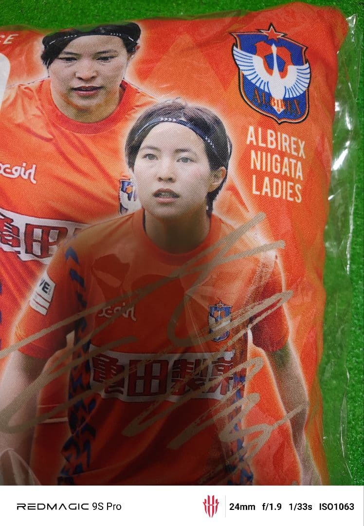 サッカー 北川ひかる クッション アルビレックス新潟