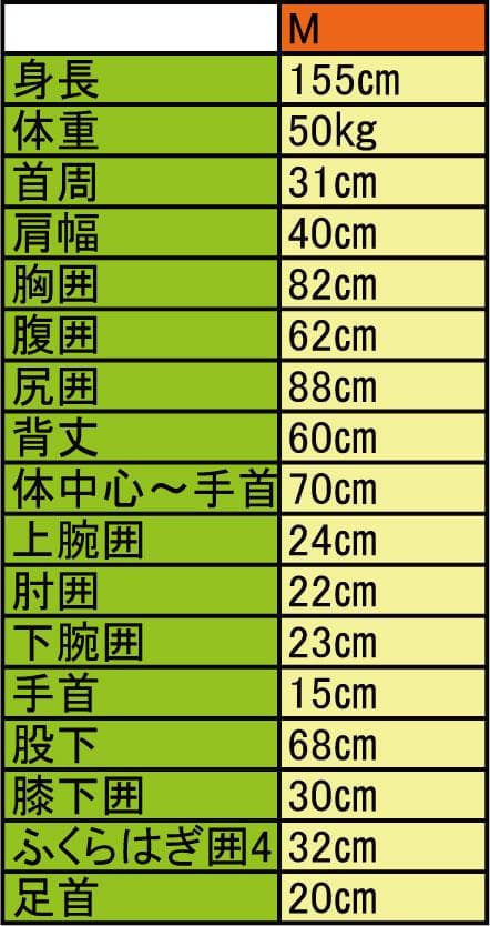 国内生産/ALL3mロングジョン/クラッシックスタイル/レディースMサイズ