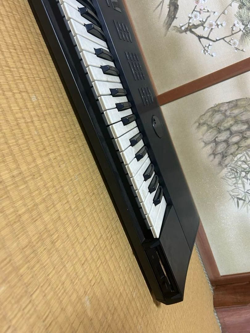 Roland ローランド S-50