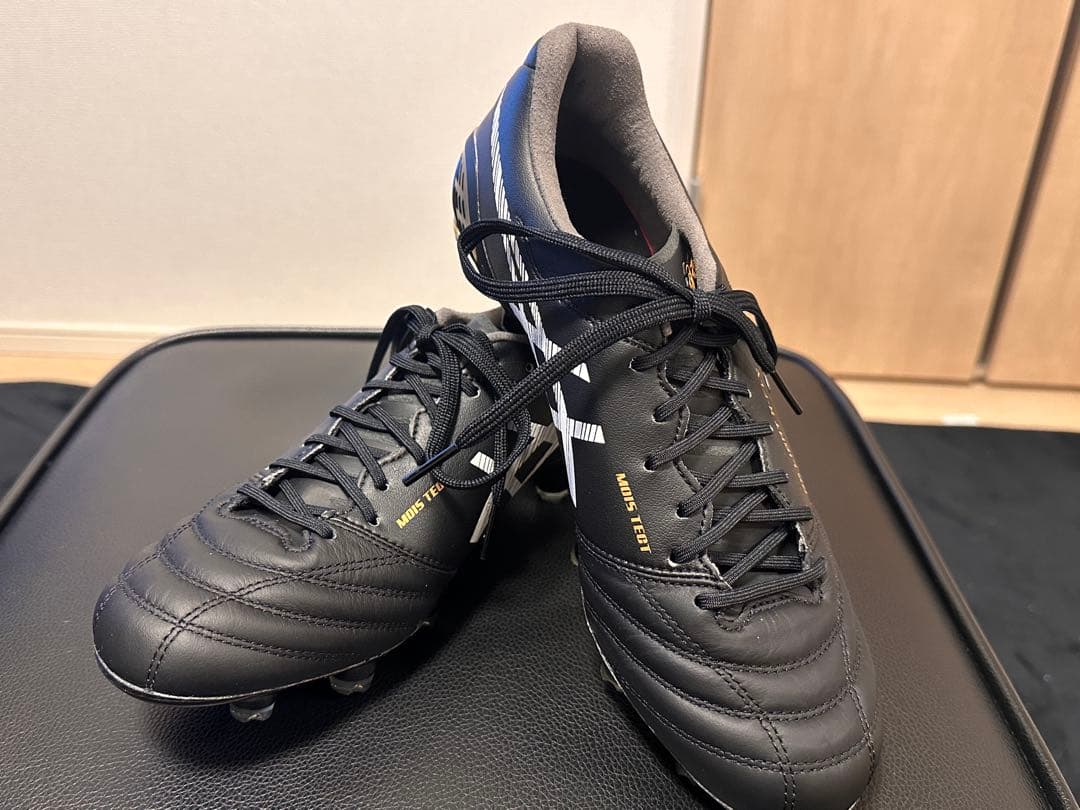 アシックス　DS LIGHT X-FLY 5 25.0㎝