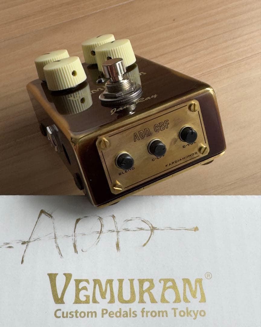 ギター VEMURAM JAN RAY KarDiaN \"ADD CBF Mod\"