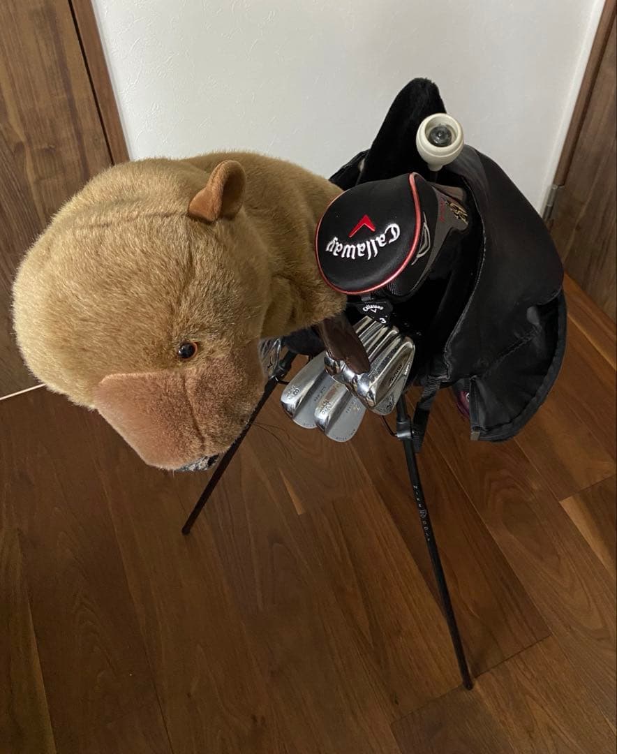 Mizuno MP69 アイアンPINGパター ゴルフクラブ
