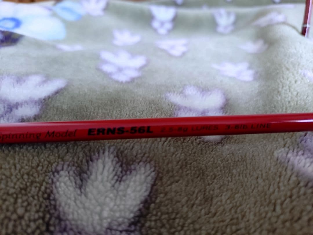 パームスNATIVE ERNS-56L 2ピースです。