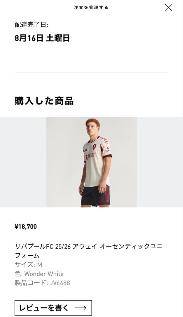 リバプールFC adidas セカンドユニM オーセンティック