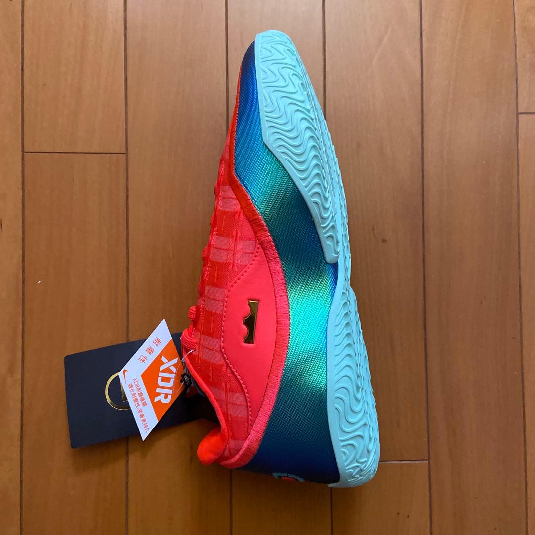 Nike LeBron 23 EP 25cm 箱無し
