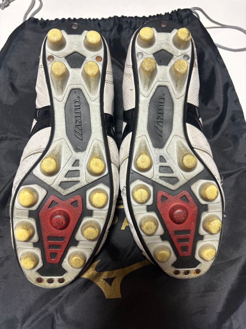 シューズ Mizuno MOLERIA2JAPAN