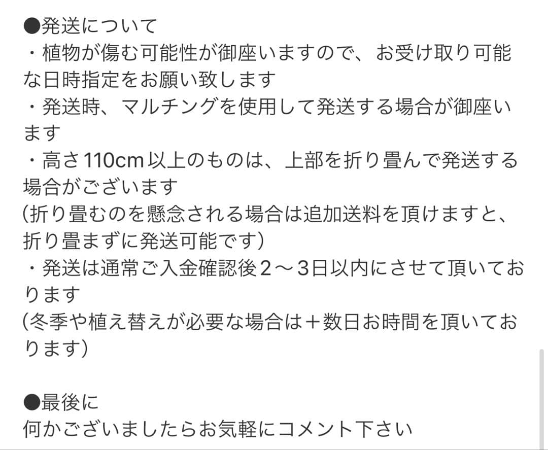 ［現品］☆珍しい☆2番　フレボディウムオーレムブルースター 8号　観葉植物　室内