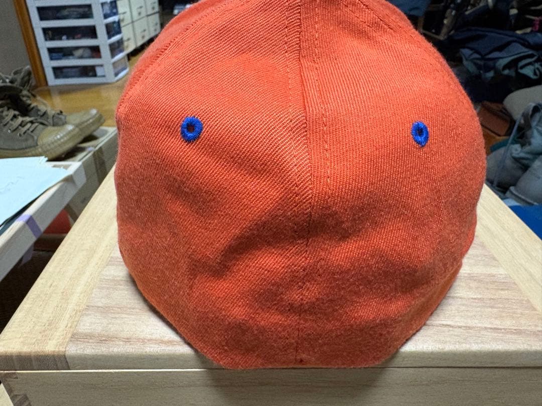 スポーツザウルスキャツプ