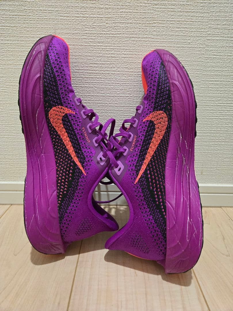 【10月26日まで特価】NIKE Pegasus Plus 27.0cm