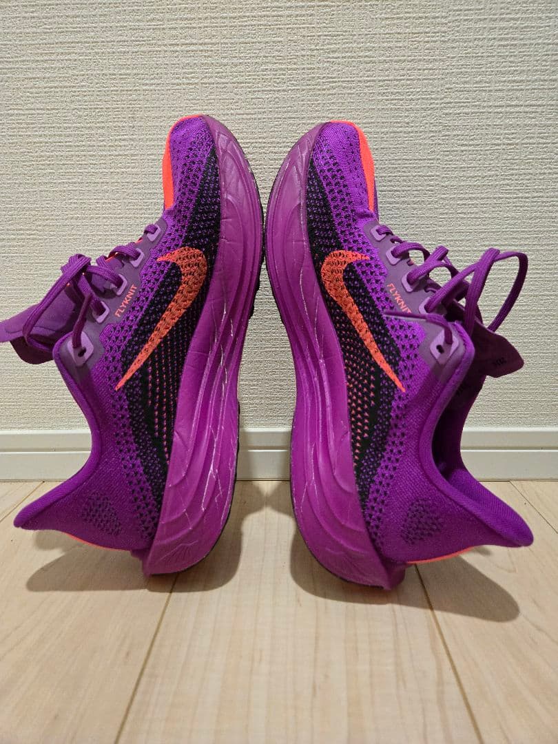【10月26日まで特価】NIKE Pegasus Plus 27.0cm