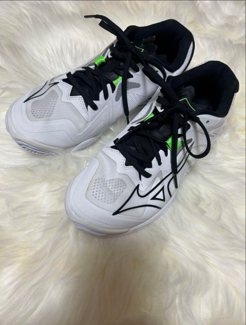 【smil.comさん専用】Mizuno バレーボールシューズ　24.5㌢　新品