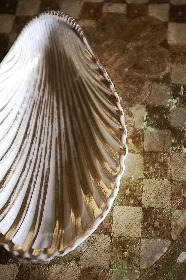 19世紀 金の貝と大きなラヴィエb パリ窯 プレート シェル アンティーク