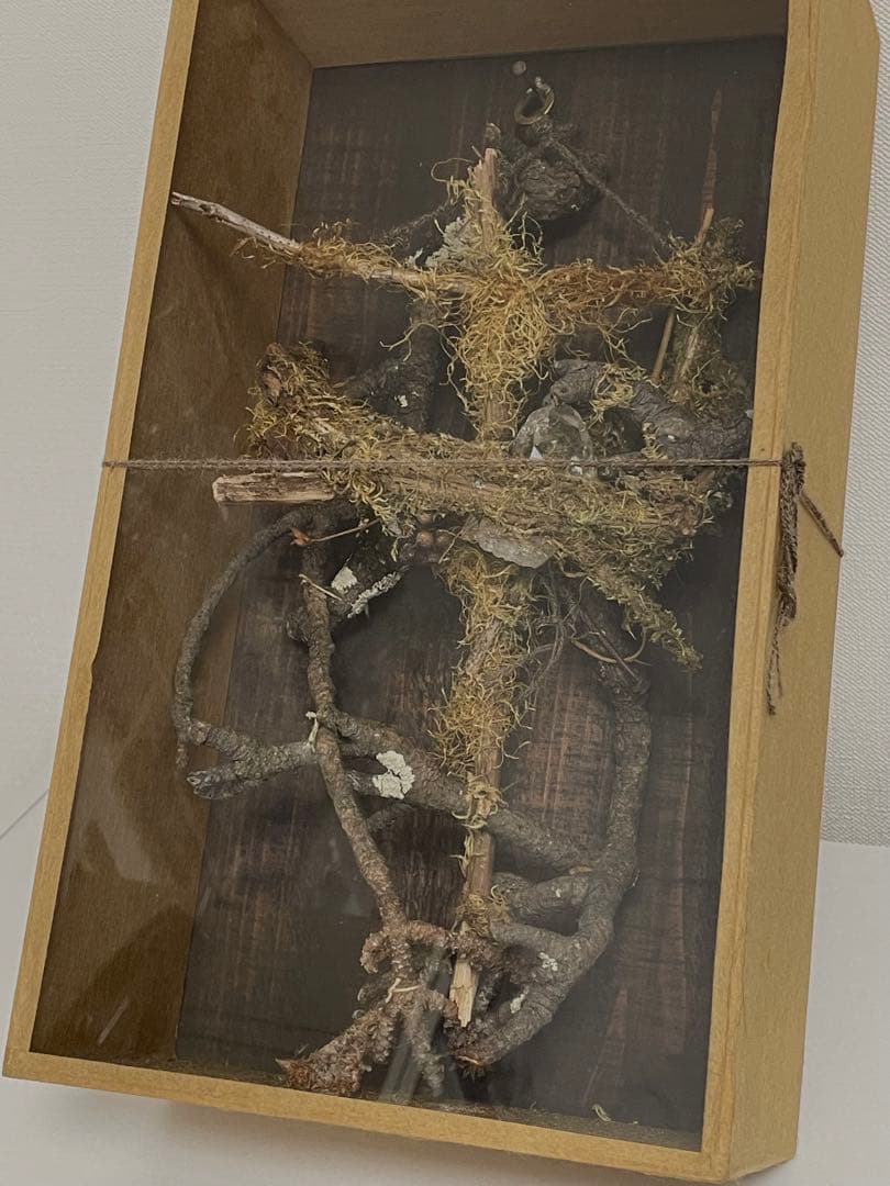 はいいろオオカミ＋花屋西別府商店 壁飾り 植物オブジェ 標本箱