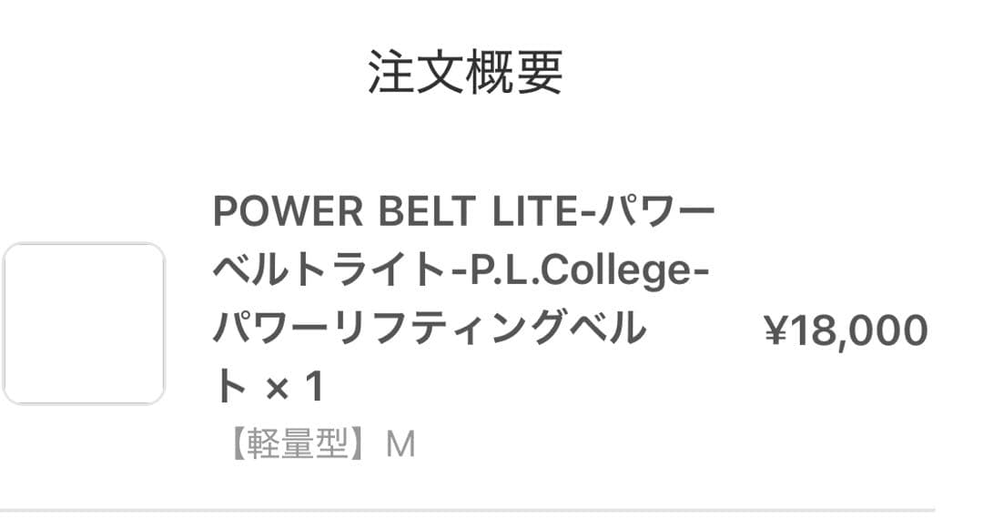 P.L.COLLEGE POWER BELT LITE Mサイズ