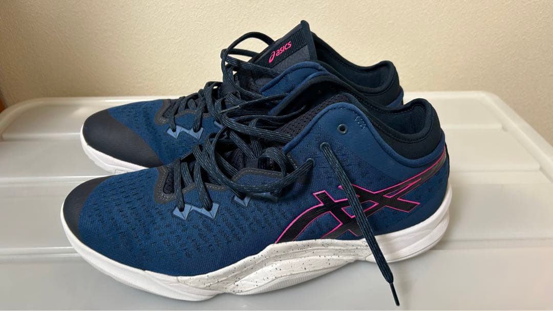 asicsバッシュ 31cm