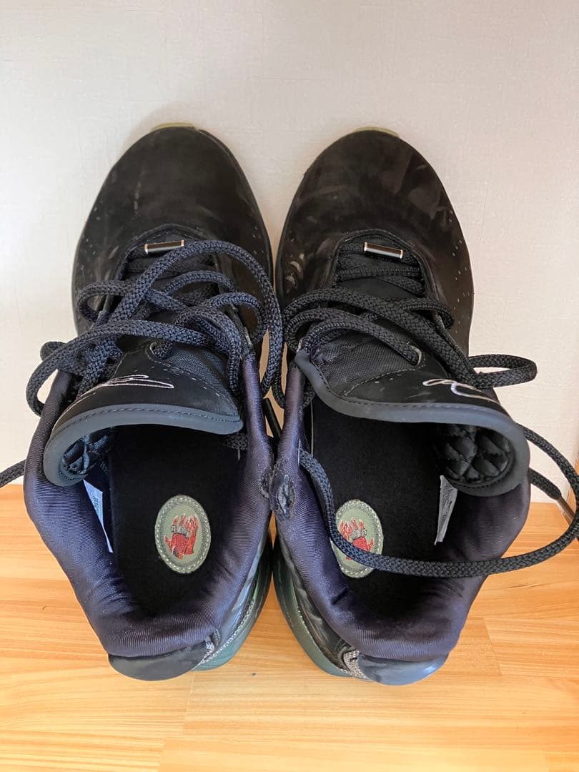 最終価格　NIKE レブロン 21 LeBron xxi