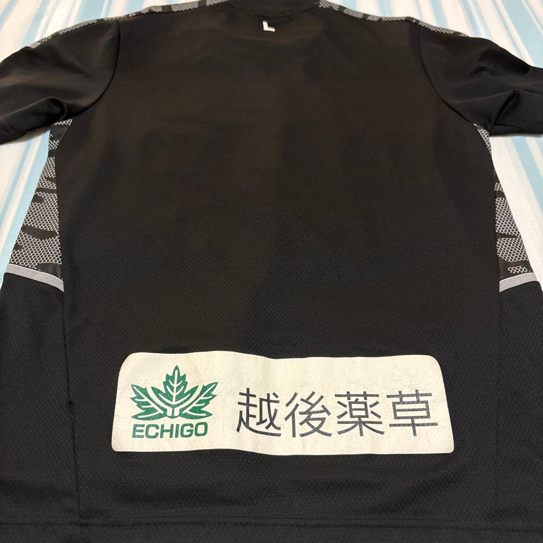 アルビレックス新潟