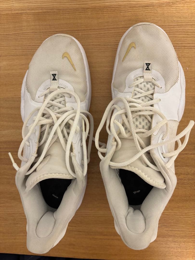シューズ(男性用) Nike PG 5