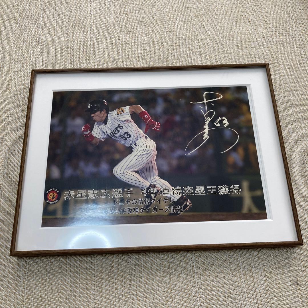 元阪神タイガース　赤星憲広　タペストリー　記念写真