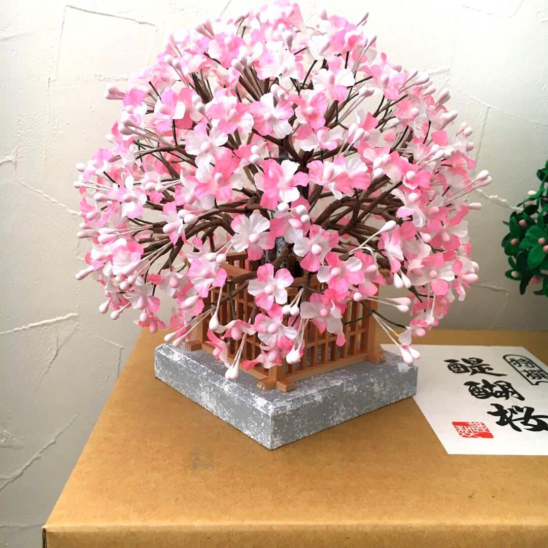 特選◯醍醐桜　6号◯雛人形　ひな祭り　雛道具　橘桜