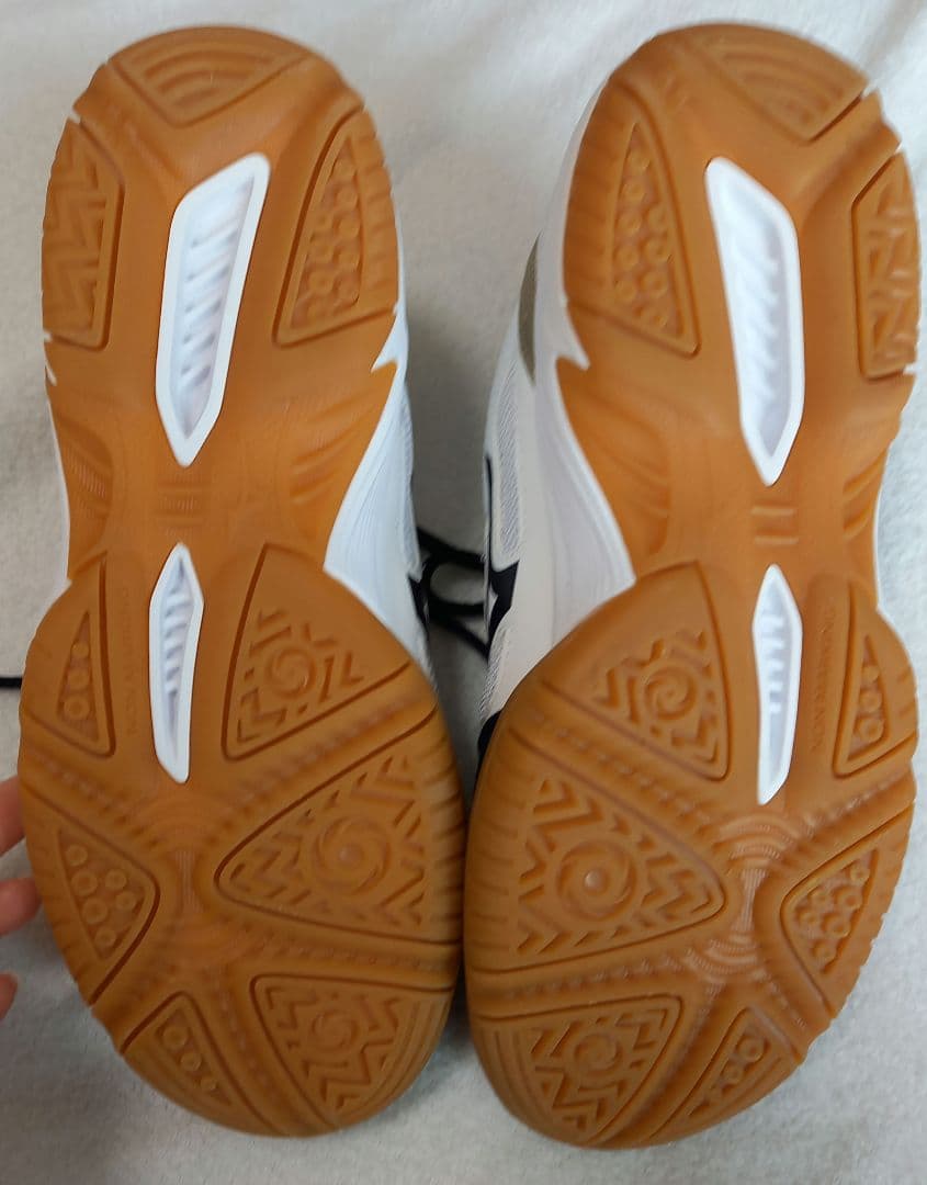『美品✨』Mizuno バレーボールシューズ 24.5