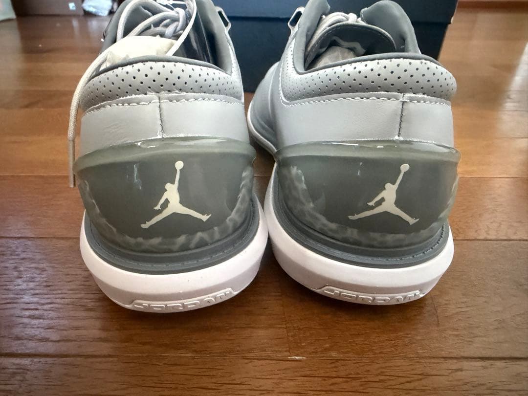 NIKE JORDAN ADG4 ゴルフシューズWolfGrey 27.5センチ